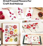 Dried Flowers, Resiners 174Pcs Pressed Flowers - Image 6