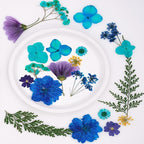 30Pcs Dried Pressed Flowers for Resin DIY Art Crafts Natural Dry Leaves Daisy - Image 2
