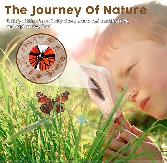 Wooden Insect Observation Kit for Kids, Insect Habitat Cage, Butterfly Net - Image 7
