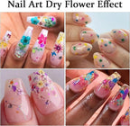 2 Boxes 3D Real Dried Flowers for Nail Art Colorful Mini Natural Gypsophila | - Image 4