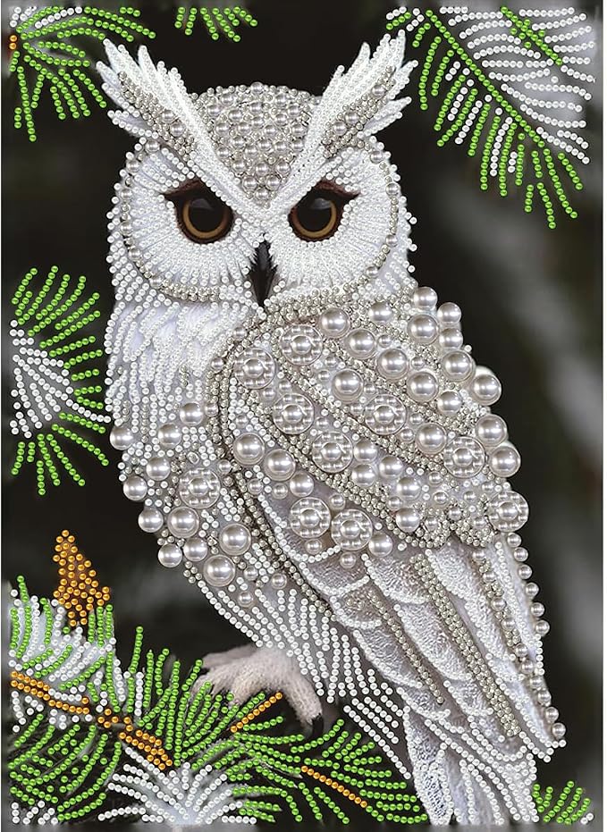 GEMFAMILY Owl Diamond Art Painting Kits by Unknown