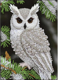 GEMFAMILY Owl Diamond Art Painting Kits by Unknown