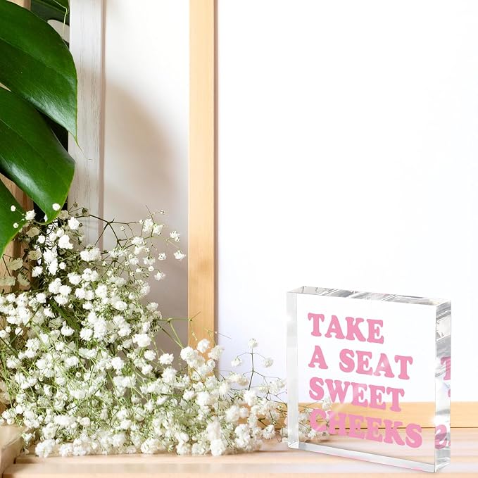Take a Seat Sweet Cheeks Pink Acrylic Wall Decal, 4x4 Inch Fun Bathroom Decor - Image 3