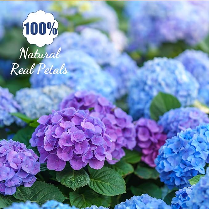 96 Pcs Natural Dried Pressed Edible Flowers - Image 3