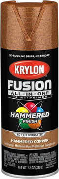 Krylon Fusion All-In-One, 12 oz by Krylon%C2%AE