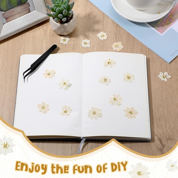 Woanger 100 pcs Dried Pressed Flowers Small Dry Flowers Real Natural Resin - Image 5