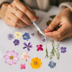 80PCS Spring Large Pressed Flowers Leaves, Real Nature Dry Flowers - Image 7