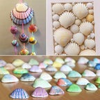 Jangostor 48 PCS Scallop Shells Natural Seashell, 1.5" to 2" White Scallop - Image 4