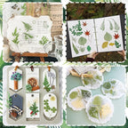 63 Pcs Real Dried Pressed Leaves Natural Assorted Dried Greenery - Image 7