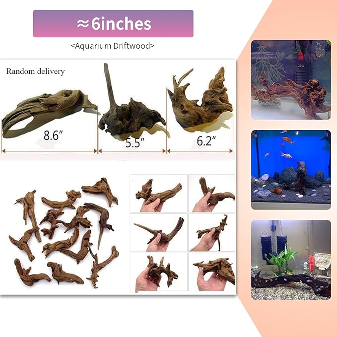 Hamiledyi 5 Pcs Driftwood Branches Aquarium Wood Decoration Natural Fish Tank - Image 3