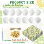 Gilprop 12 Pcs Large Scallop Shells - Image 2