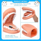 Patelai 1 Pcs Mouth Puppet Science-kits - Image 3