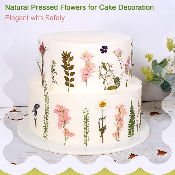 Large Dried Pressed Flowers for Art Crafts, Real Dry Natural Flower Leaf Fruit - Image 2