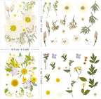 130Pcs White Pressed Dried Flowers and Butterfly - Image 5