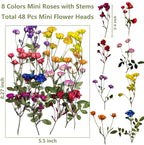 8 Types Real Dried Pressed Rose Flowers Plant Herbarium - Image 2