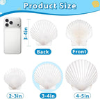 20Pcs 3-4 Inch Scallop Shells for Crafts, Natural White Scallop Shells for - Image 5