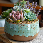 0.88 LB Brown Decorative Succulent Cactus Gravel, Terrarium Small Rocks | - Image 8
