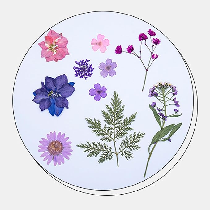 35Pcs Dried Pressed Flowers for Resin DIY Art Crafts Natural Dry Floral Daisy - Image 3