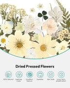 Dried Flowers, Resiners 100Pcs Pressed Flowers - Image 4
