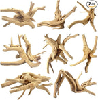 Jorewood Natural Small Spiderwood Driftwood by JOREWOOD