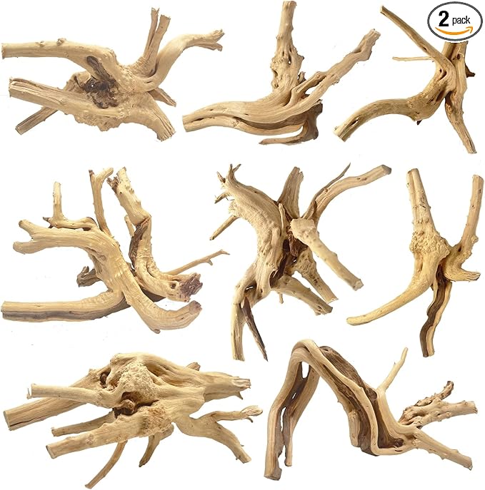 Jorewood Natural Small Spiderwood Driftwood by JOREWOOD