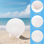25PCS Large Scallop Shells for Crafts, Decorating, Ocean Themed Party Supplies - Image 3