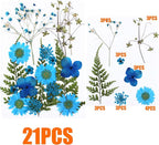 Woohome 126PCS Real Pressed Flowers, Dried Pressed Flowers Colorful Real - Image 4