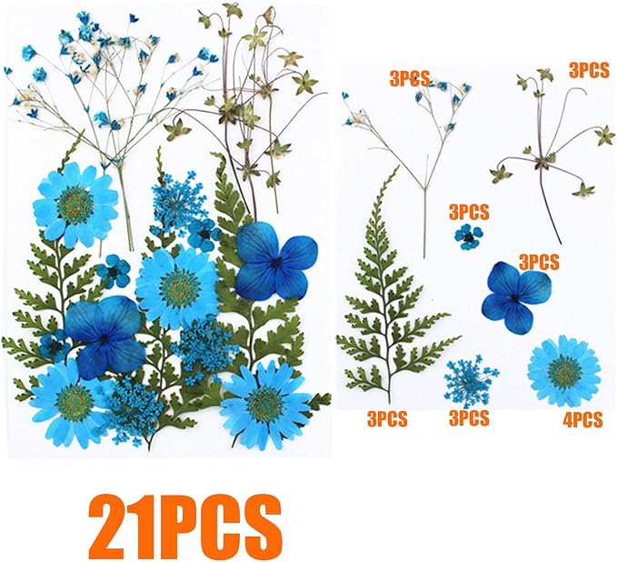 Woohome 126PCS Real Pressed Flowers, Dried Pressed Flowers Colorful Real - Image 4