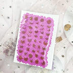 50pcs Natural Dried Daisy Flower, Vacuum Packaging, Pressed Flower - Image 4