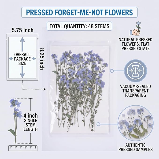 48 Pcs Natural Dried Pressed Forget-me-not Flowers - Image 2