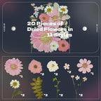 Pink Dried Pressed Flowers, Real Nature Flowers - Image 4