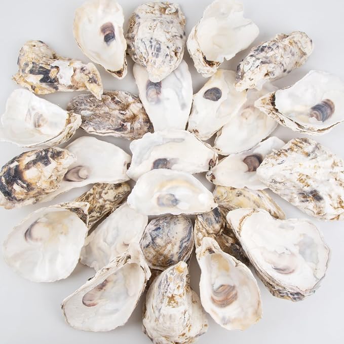 QEQEKAKA 30PCS Oyster Shells Flat & Concave 4"-5" Large Oyster Shells by QEQEKAKA