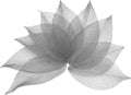 uxcell 100 Pcs Grey Skeleton Leaves by uxcell
