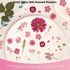 12“ Large Bulk Dried Pressed Flowers - Image 4
