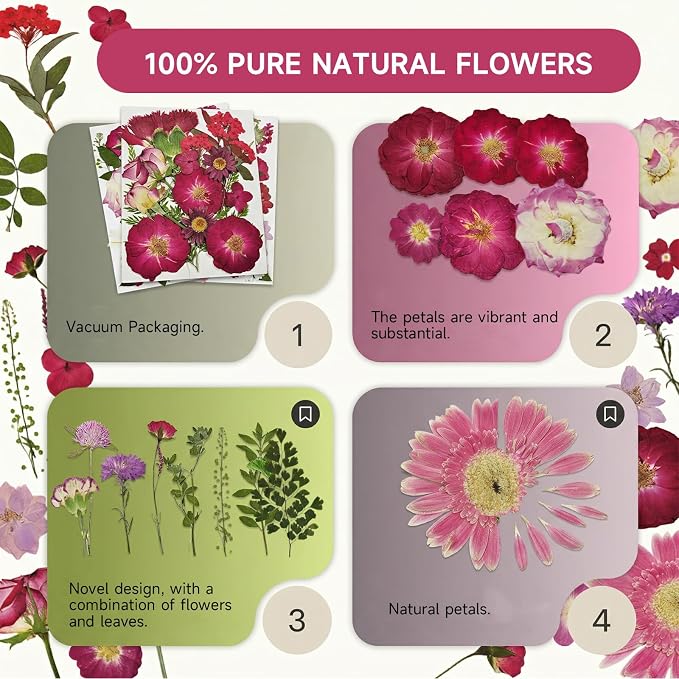 Dried Pressed Flowers for Resin | Real Pressed Flowers Dry Leaves Bulk Natural - Image 3