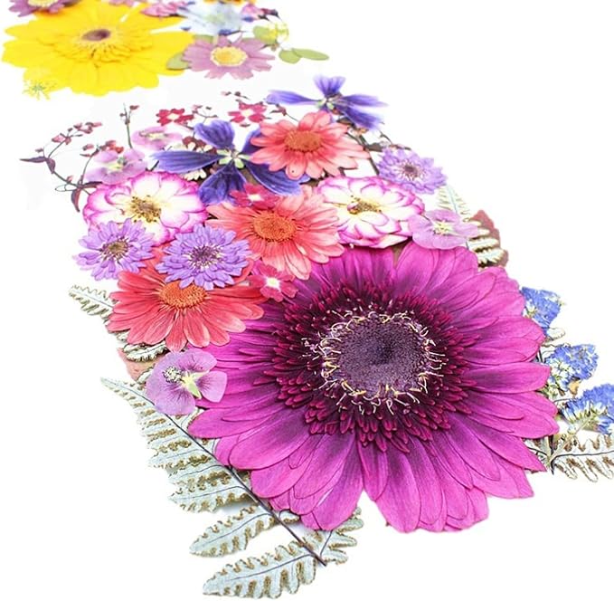 35Pcs Dried Pressed Flowers for Crafts Resin DIY Art Natural Dry Floral Large - Image 2