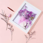 Real Dried Flowers, Natural Dry Flowers Mixed Natural Pressed Flowers Flores - Image 3