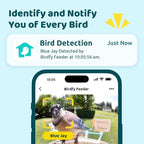 NETVUE by Birdfy Smart Bird Feeder - Image 2
