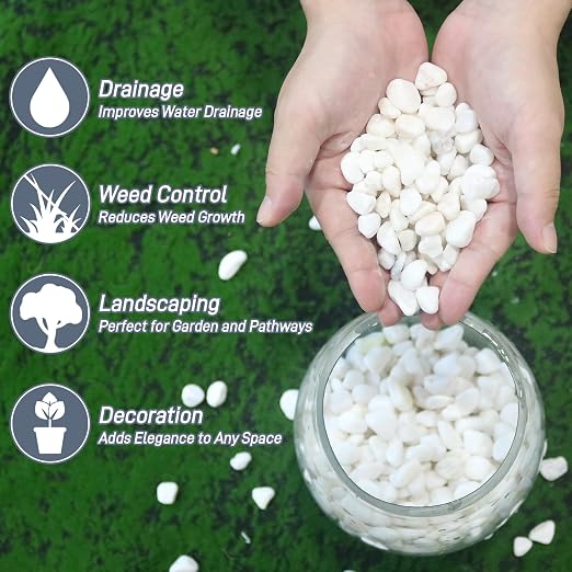 Mulctun 2Lb White Rocks for Plants, 1/4"-3/4" White Pebbles, Decorative Stones - Image 2