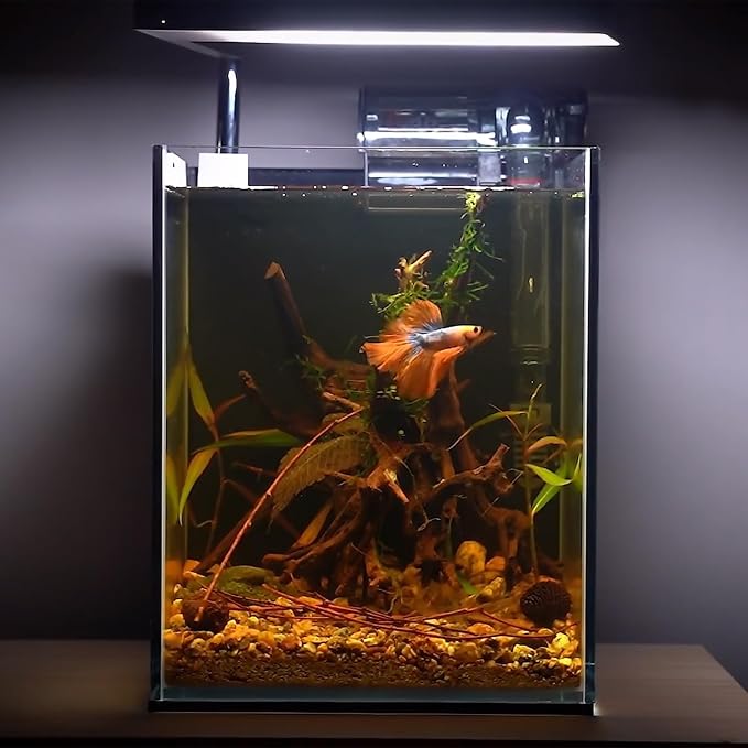 majoywoo Natural Driftwood for Aquarium Decor Fish Tank Decorations, Reptile - Image 5