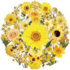 Aesthetic Flowers Stickers Transparent Flora Scrapbook Stickers | Transparent & - Image 4