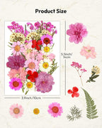 Dried Flowers, Resiners 100Pcs Pressed Flowers - Image 5