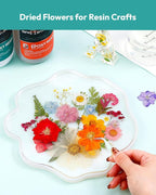Dried Flowers, Resiners 100Pcs Pressed Flowers - Image 3