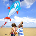 HENGDA KITE 3D Kite for Kids and Adults, Excellent Fabric and Structure - Image 6