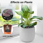 Pebbles for Indoor Plants, Virekm River Rocks, Decorative Ornamental Pebbles - Image 3