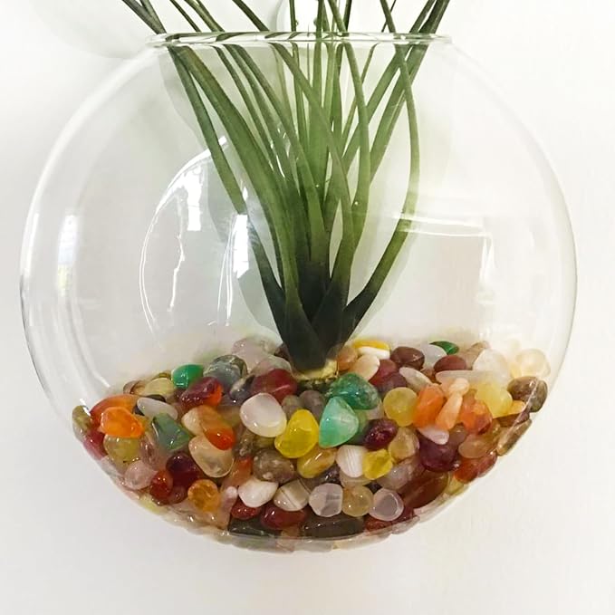 1Lb Pebbles for Indoor Plants, 1/3" Plant Rocks for Pots Indoor, Small - Image 6