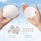 20PCS Large Natural Scallop Shells, DIY Painting, Baking and Beach Wedding - Image 2