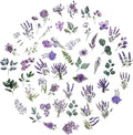 100 Pcs Lavender Purple Flower Stickers by Obujopal