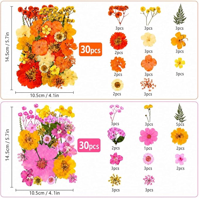 210 pcs Dried Flowers for Resin, Natural Flowers and Leaves Kit - Image 2