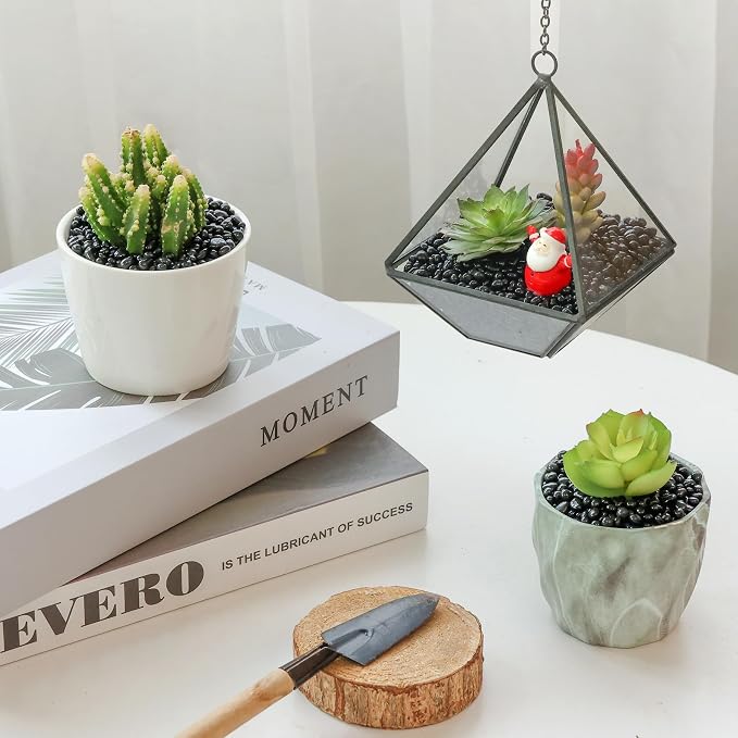 T4U Rocks for Aquarium and Plants, fish tank decor, succulent top dressing - Image 4